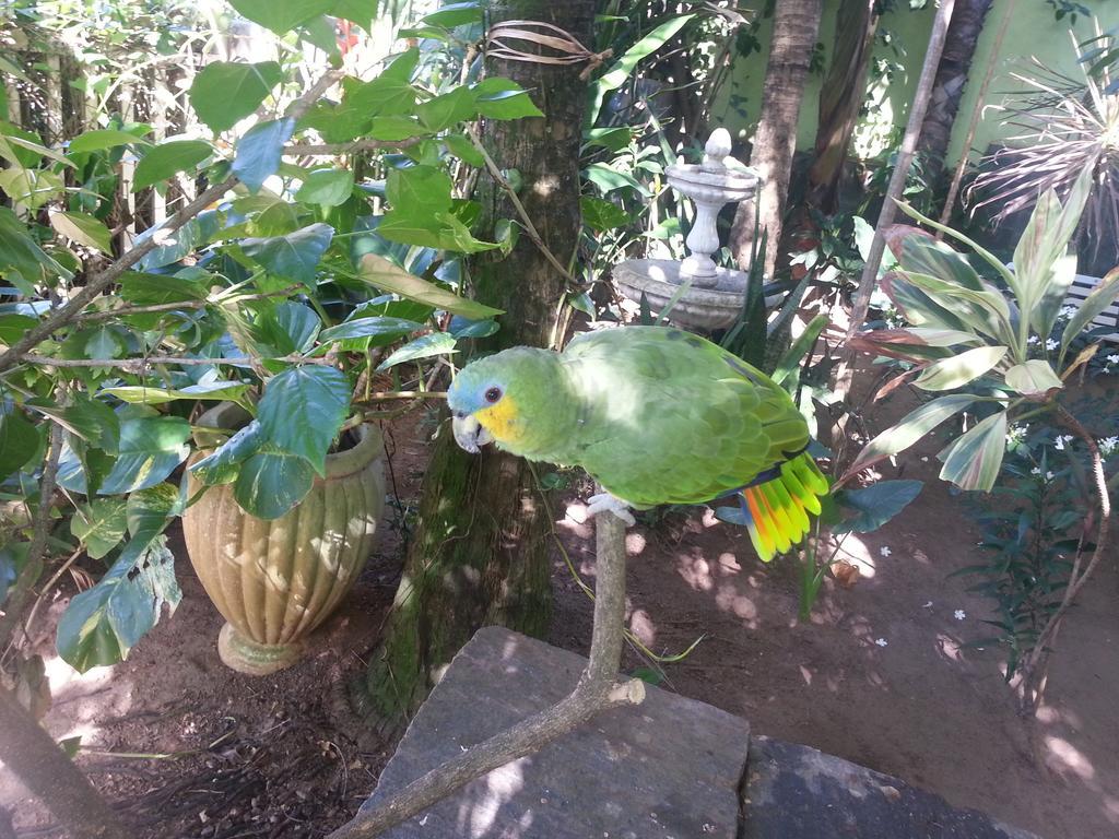 Hotel Pousada Papaya Verde Salwador Zewnętrze zdjęcie